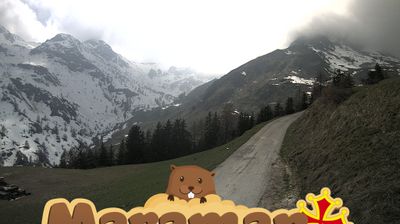 immagine della webcam nei dintorni di Valdieri: webcam Castelmagno