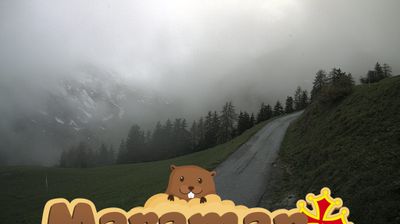 immagine della webcam nei dintorni di Acceglio: webcam Castelmagno