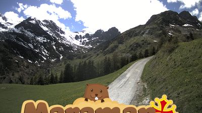 immagine della webcam nei dintorni di Pietraporzio: webcam Castelmagno