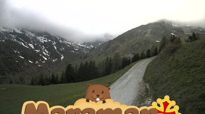 immagine della webcam nei dintorni di Sampeyre: webcam Castelmagno