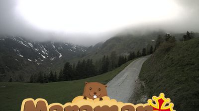 immagine della webcam nei dintorni di Pontechianale: webcam Castelmagno