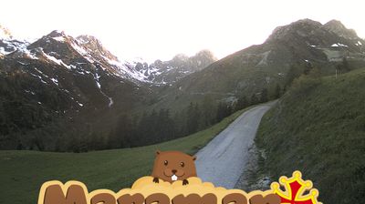 immagine della webcam nei dintorni di Pagno: webcam Castelmagno
