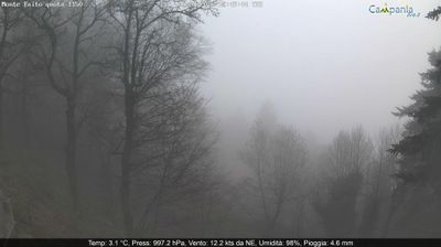 immagine della webcam nei dintorni di Lanzara: webcam Pimonte