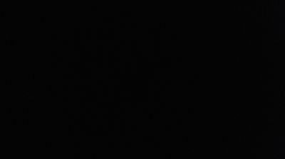 immagine della webcam nei dintorni di Ameglia: webcam Campo Cecina