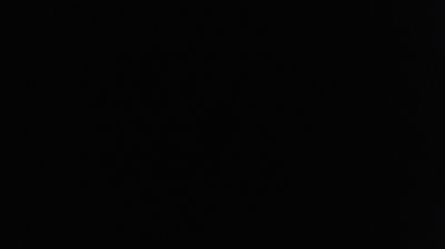 immagine della webcam nei dintorni di Fivizzano: webcam Campo Cecina