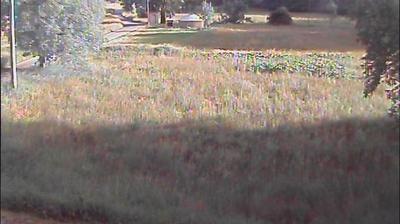 immagine della webcam nei dintorni di Acceglio: webcam Aisone