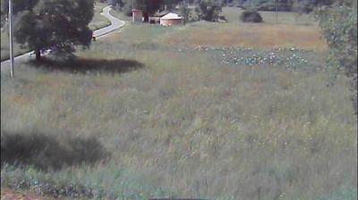 immagine della webcam nei dintorni di Pradleves: webcam Aisone