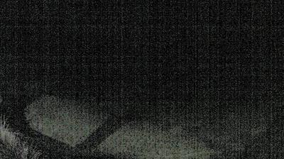 immagine della webcam nei dintorni di Poggio Bustone: webcam Acquasparta