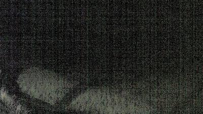 Preview delle webcam di Acquasparta