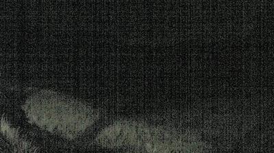 immagine della webcam nei dintorni di Stroncone: webcam Acquasparta