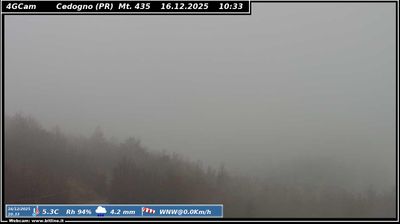 immagine della webcam nei dintorni di Viano: webcam Vetto