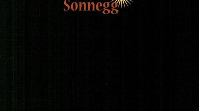 immagine della webcam nei dintorni di Tirolo: webcam Rifiano