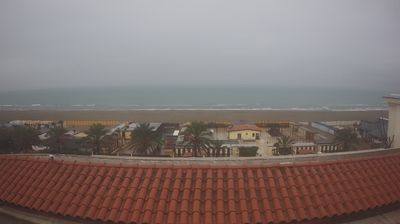 immagine della webcam nei dintorni di Maremma Corrado Baccarini: webcam Grosseto