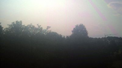Preview delle webcam di Binago