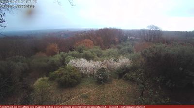 immagine della webcam nei dintorni di Capodimonte: webcam Soriano nel Cimino