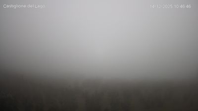 immagine della webcam nei dintorni di Cortona: webcam Castiglione del Lago
