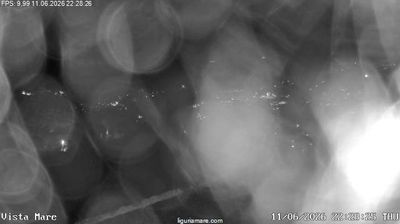 immagine della webcam nei dintorni di Bordighera: webcam Dolcedo
