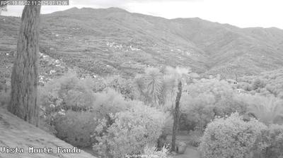 immagine della webcam nei dintorni di Chiusanico: webcam Badalucco