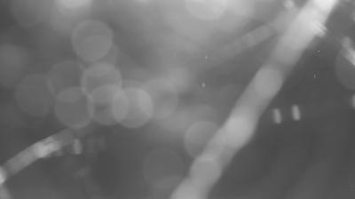 immagine della webcam nei dintorni di Alpe Giumello: webcam Colico
