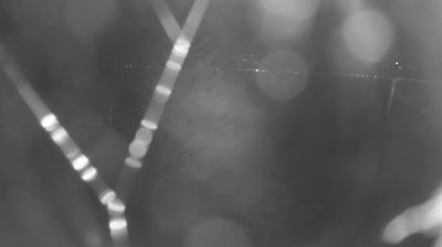 immagine della webcam nei dintorni di Dervio: webcam Colico