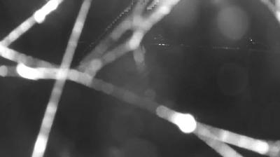 immagine della webcam nei dintorni di Vercana: webcam Colico