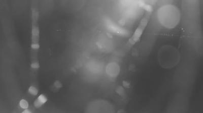 immagine della webcam nei dintorni di Pagnona: webcam Colico