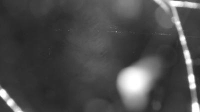 immagine della webcam nei dintorni di Morbegno: webcam Colico
