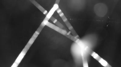 immagine della webcam nei dintorni di Sant'Abbondio: webcam Colico