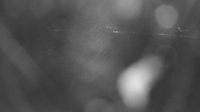 immagine della webcam nei dintorni di Dosso del Liro: webcam Colico