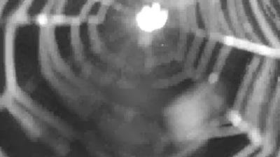 immagine della webcam nei dintorni di Morbegno: webcam Colico