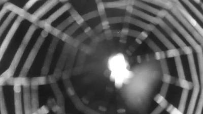 immagine della webcam nei dintorni di San Giacomo Filippo: webcam Colico