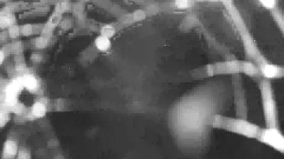 immagine della webcam nei dintorni di Val Masino: webcam Colico