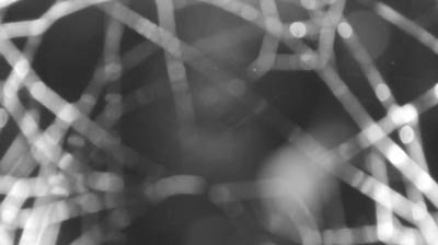 immagine della webcam nei dintorni di Rasura: webcam Colico