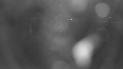 immagine della webcam nei dintorni di Consiglio di Rumo: webcam Colico