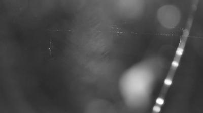 immagine della webcam nei dintorni di Campodolcino: webcam Colico