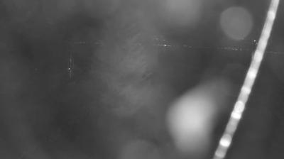 immagine della webcam nei dintorni di Val Masino: webcam Colico