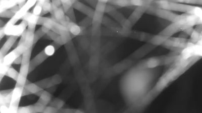 immagine della webcam nei dintorni di Dervio: webcam Colico