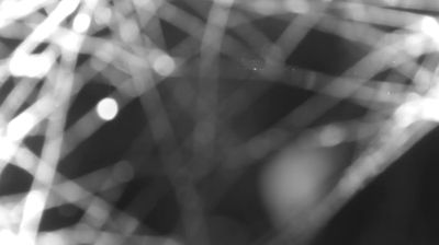 immagine della webcam nei dintorni di Vercana: webcam Colico