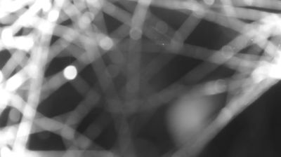 immagine della webcam nei dintorni di Dervio: webcam Colico