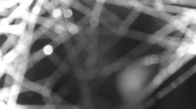 Preview delle webcam di Colico