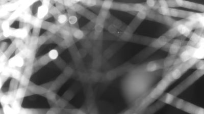 immagine della webcam nei dintorni di San Giacomo Filippo: webcam Colico