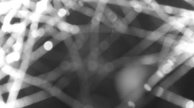 immagine della webcam nei dintorni di Rasura: webcam Colico