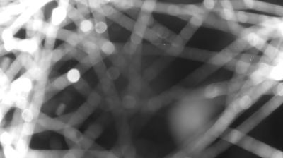 immagine della webcam nei dintorni di Montemezzo: webcam Colico