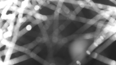 immagine della webcam nei dintorni di Domaso: webcam Colico