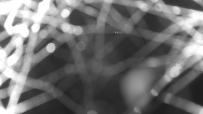 immagine della webcam nei dintorni di Campodolcino: webcam Colico