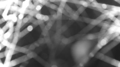 immagine della webcam nei dintorni di Gravedona: webcam Colico