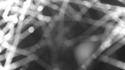 immagine della webcam nei dintorni di Albaredo per San Marco: webcam Colico