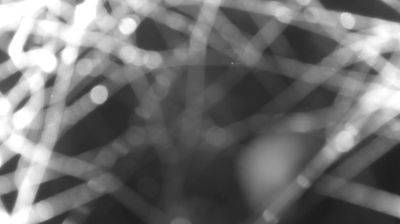 immagine della webcam nei dintorni di Val Masino: webcam Colico