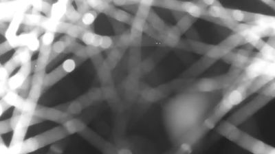 immagine della webcam nei dintorni di Alpe Giumello: webcam Colico