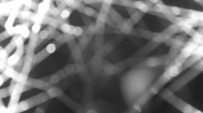 immagine della webcam nei dintorni di Alpe Giumello: webcam Colico